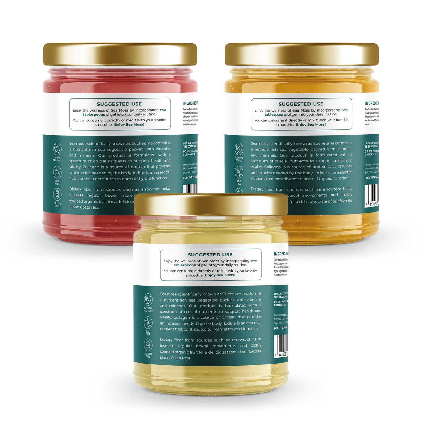 Sea Moss Gel [Strawberry/Mango/Pineapple]